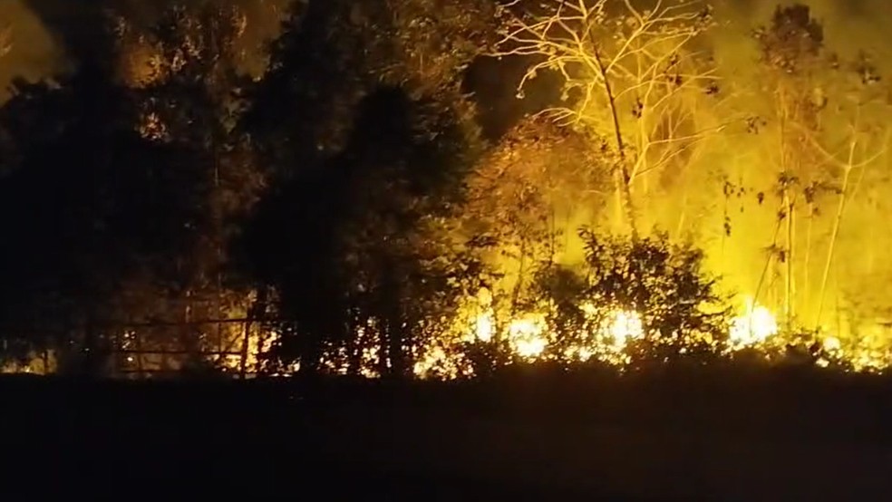 Incêndio que atingiu uma madeireira e uma área de vegetação na estrada Guaranatuba, em Maués — Foto: Reprodução/Redes Sociais