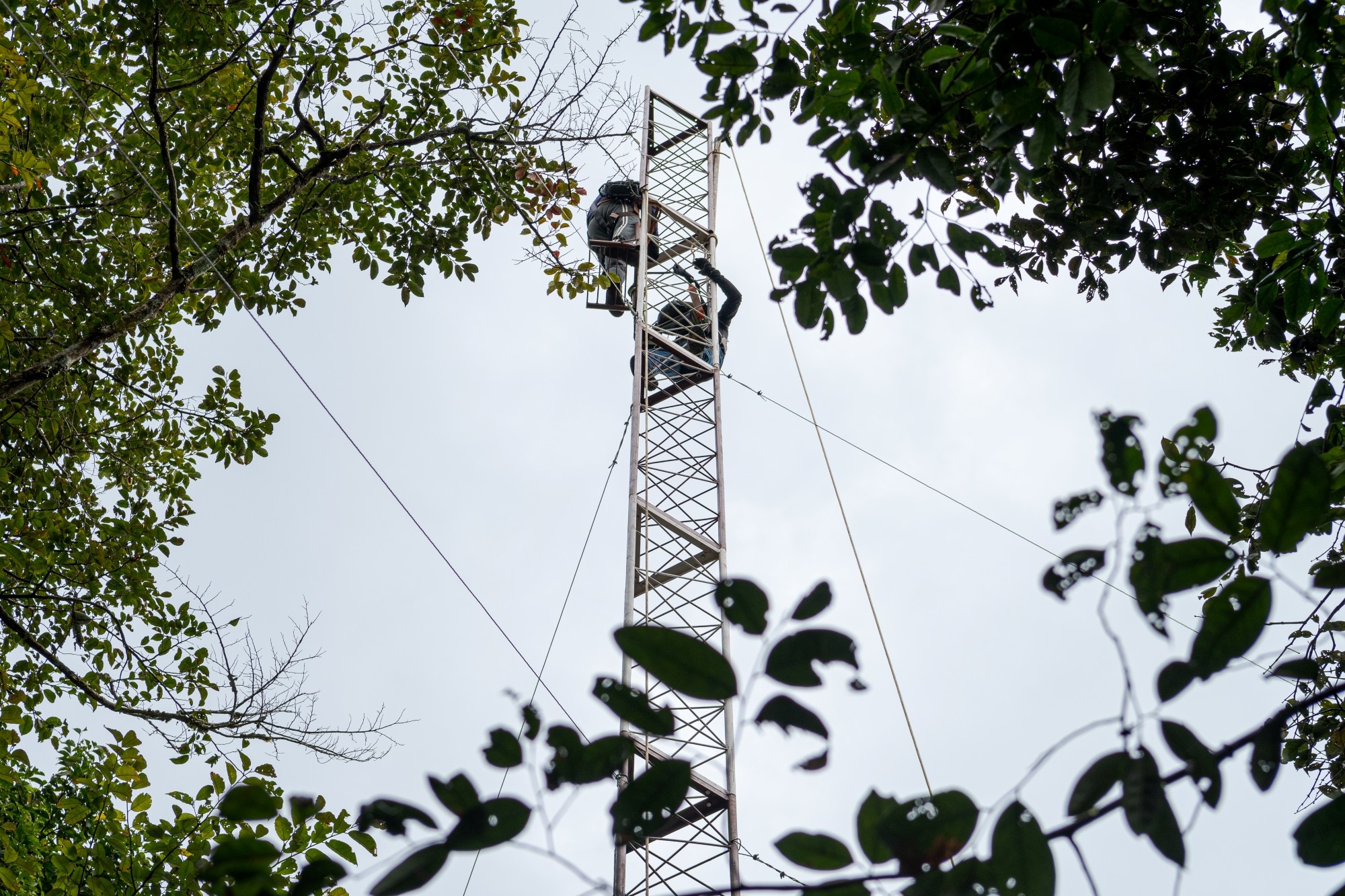 Instituto constrói primeira torre da Amazônia para medir gases do efeito estufa