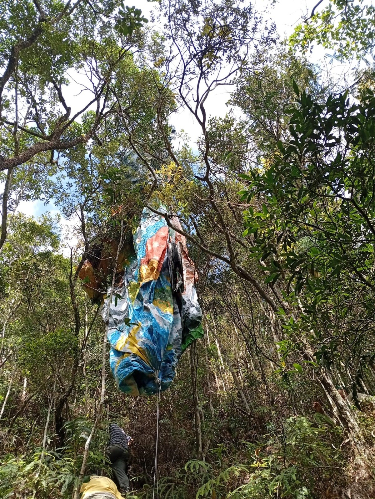 Balão de 15 metros com GPS cai em área de vegetação em Petrópolis; vídeo