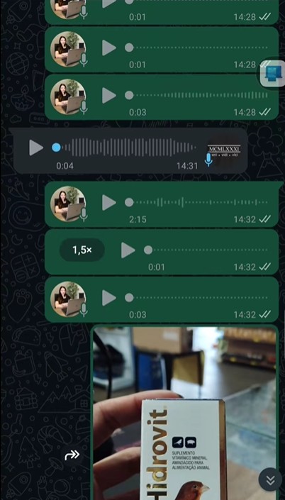 Calopsita envia áudios e foto pelo WhatsApp de tutora sem que ela perceba e vídeo viraliza
