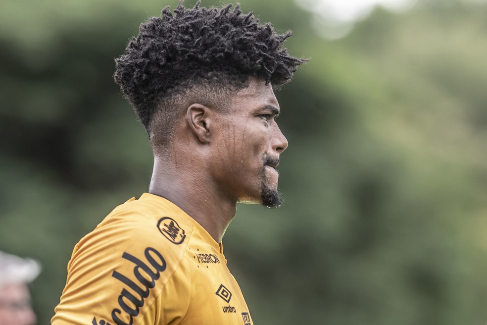 Zagueiro Bauermann, do Santos, &eacute; um dos jogadores investigados por esquema de manipula&ccedil;&atilde;o &mdash; Foto: Ivan Storti/Santos FC