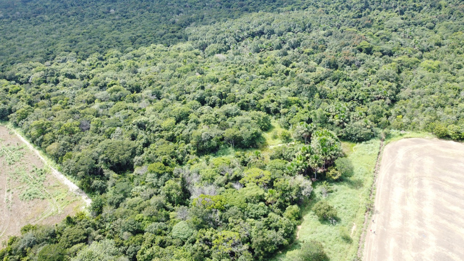 Veja como é a área onde mecânico agrícola ficou 20 dias desaparecido no Tocantins