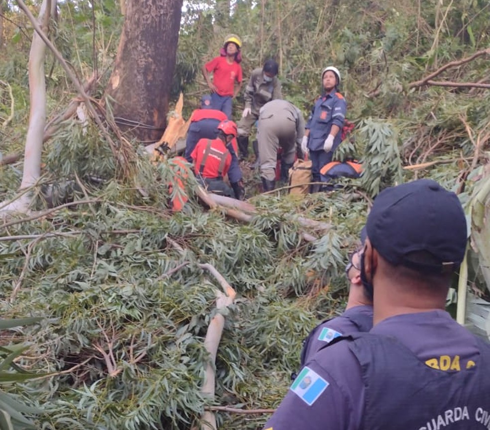 Morre segundo bombeiro atingido por árvore durante poda em Mairinque | G1
