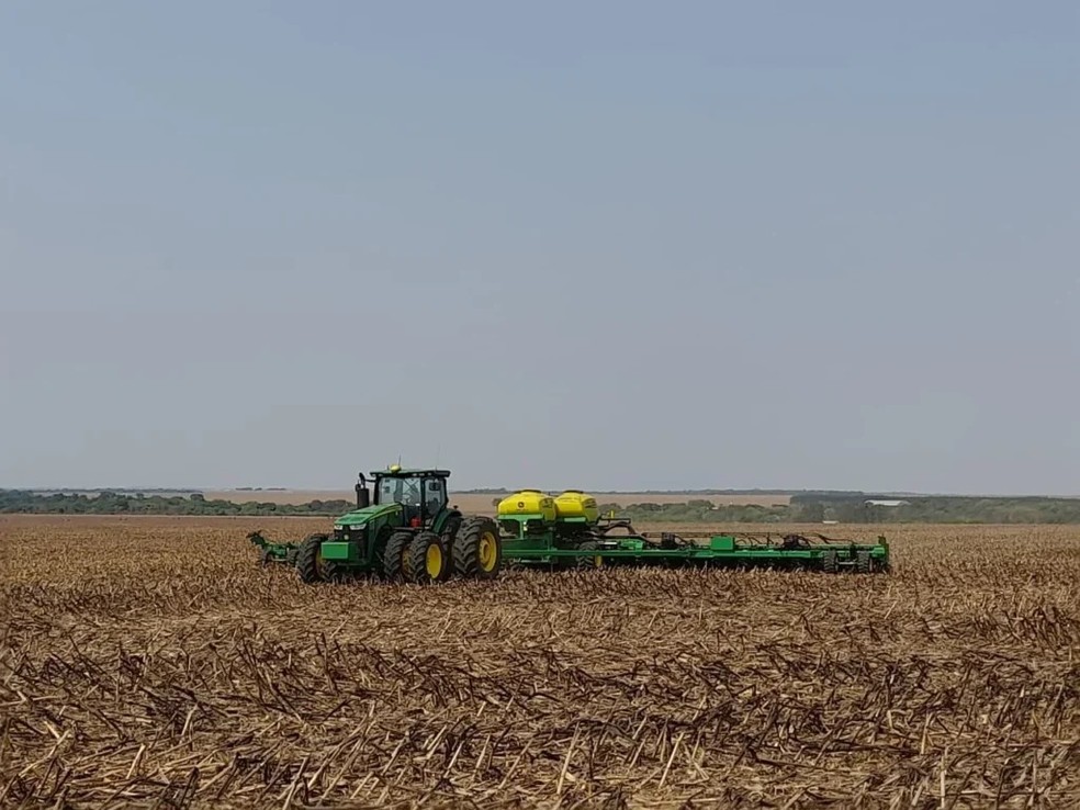 Atrasos no plantio da soja aumentam os riscos para a segunda safra e ampliam os desafios da produção agrícola. — Foto: Divulgação/Adapec