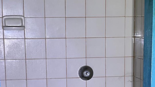 Ouriço-cacheiro é capturado dentro de banheiro em MG