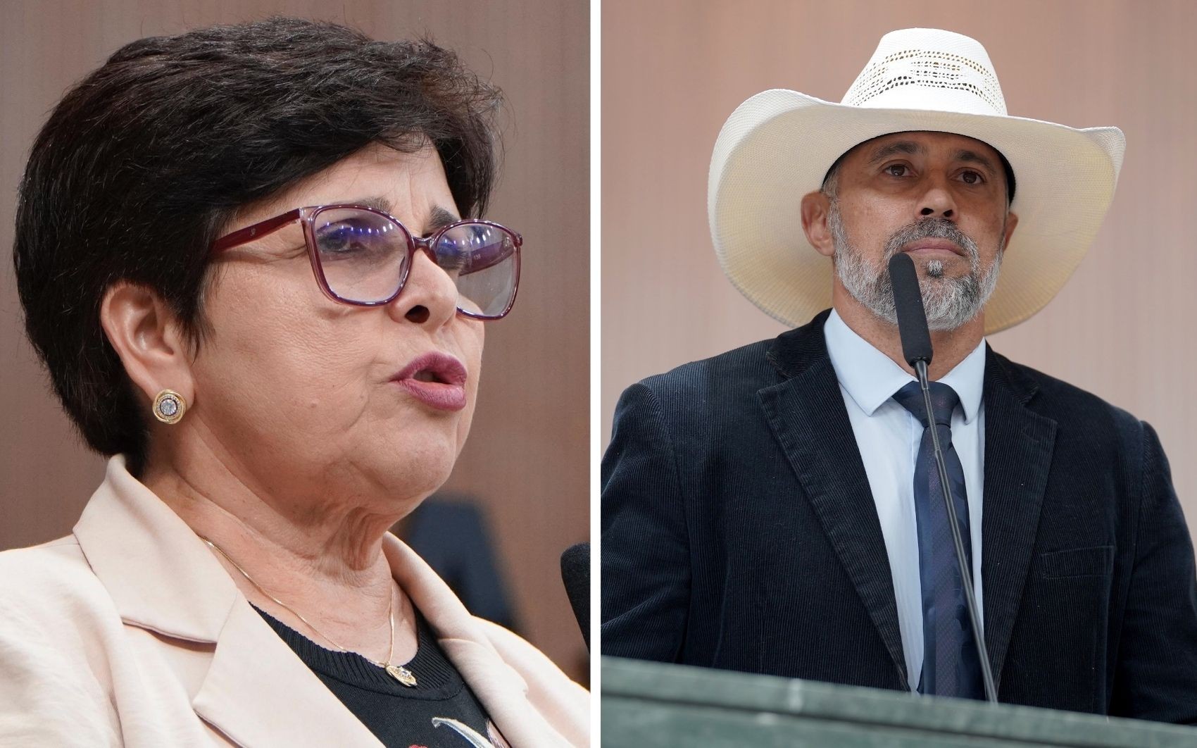 Deputada denuncia ofensa de deputado por ela ter declarado que gostava de namorar jovens; vídeo