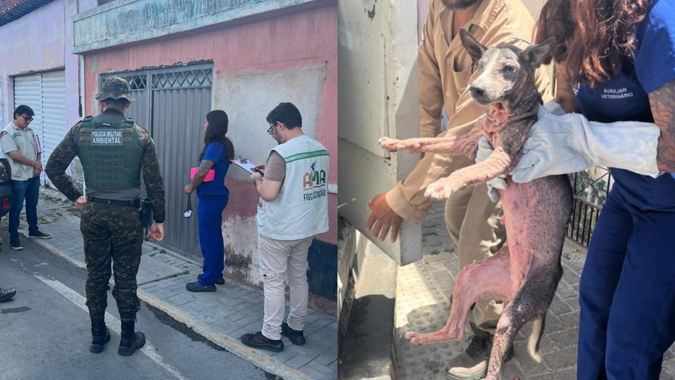 Ação contra maus-tratos a animais foi em Sobral, no interior do Ceará, nesta sexta-feira (16) — Foto: Divulgação