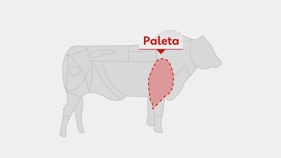 O shoulder é encontrado na paleta, que fica na parte dianteira do boi, e é conhecido como uma 'carne de segunda'. — Foto: Arte/g1
