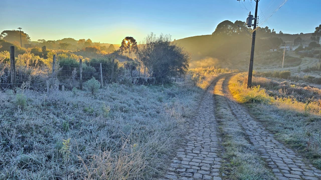 Frio volta com força e SC registra amanhecer de -4,2°C