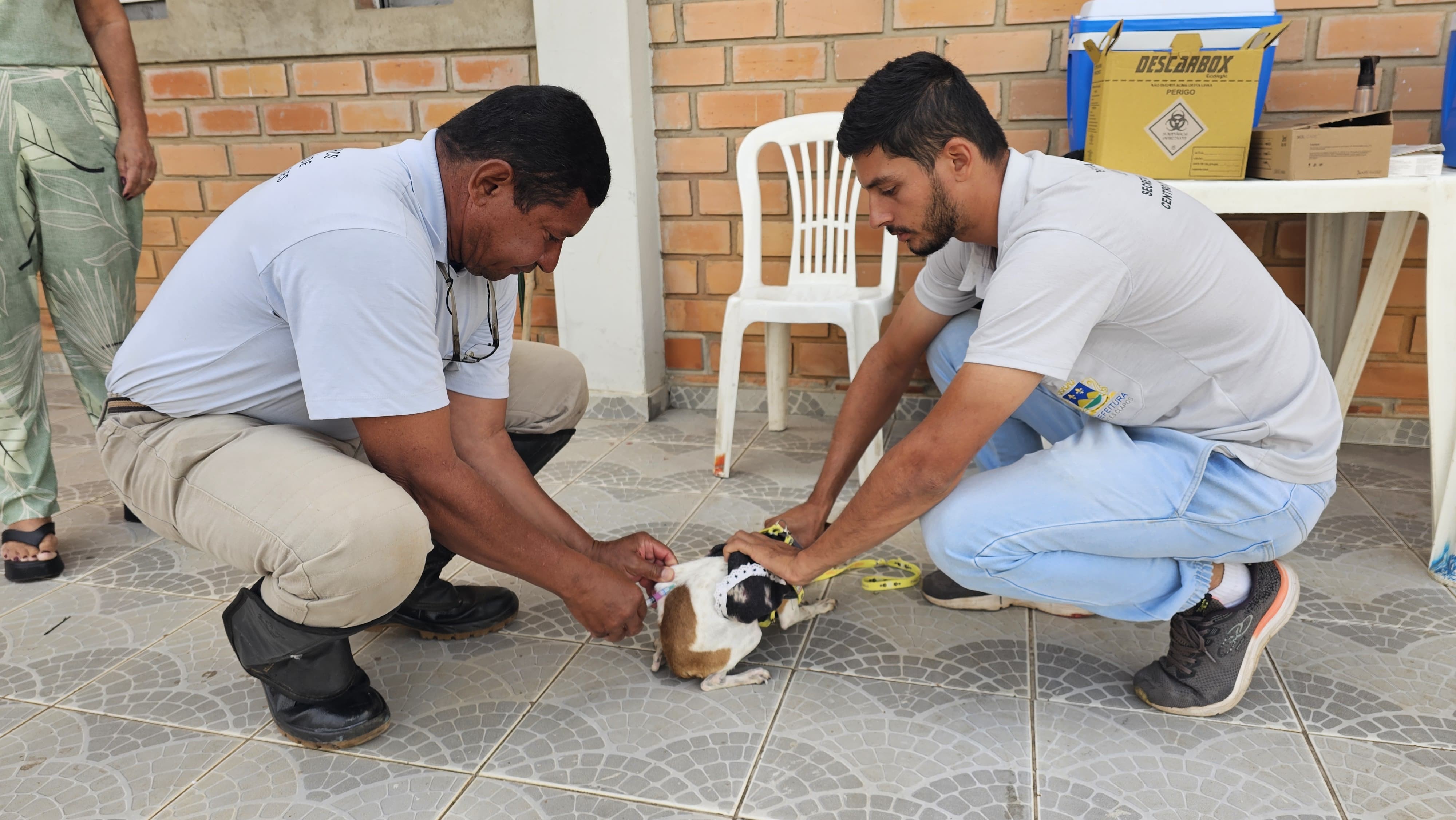 Moradores do bairro Sagrada Família, em Montes Claros, devem vacinar cães e gatos contra a raiva 