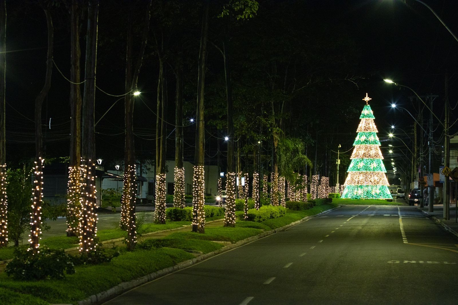 Luzes de Natal: veja fotos das decorações natalinas das cidades do ...