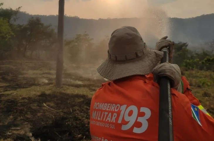 Chuva no Pantanal zera focos de incêndio, mostram dados do Inpe