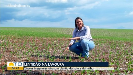 Chuvas irregulares causam atraso no plantio da soja e milho no Tocantins