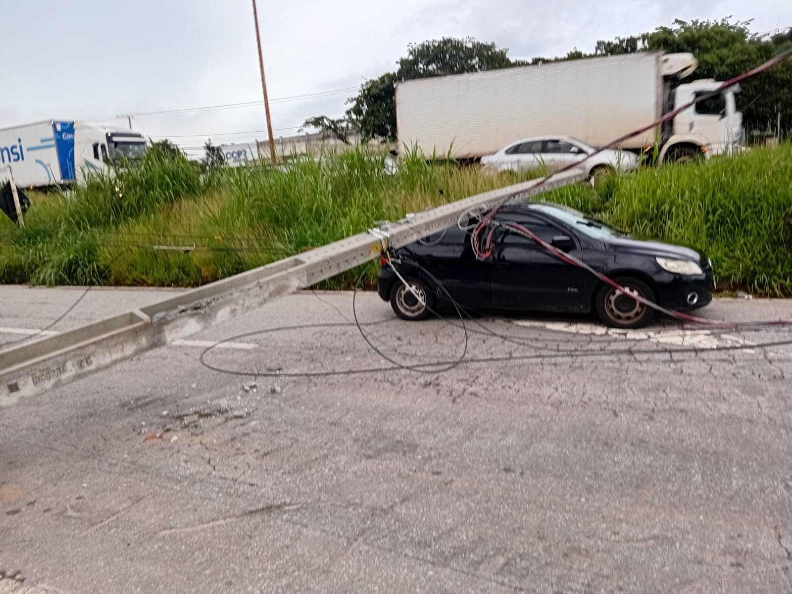 Quedas de árvores, postes caídos e alagamentos: após temporal, BH contabiliza prejuízos e segue em alerta de risco geológico