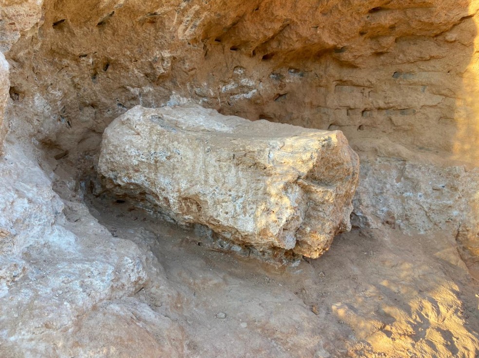 Fóssil achado em rodovia pode ser de espécie de Titanossauro descoberto nos  anos 2000, diz paleontólogo | Bauru e Marília | G1