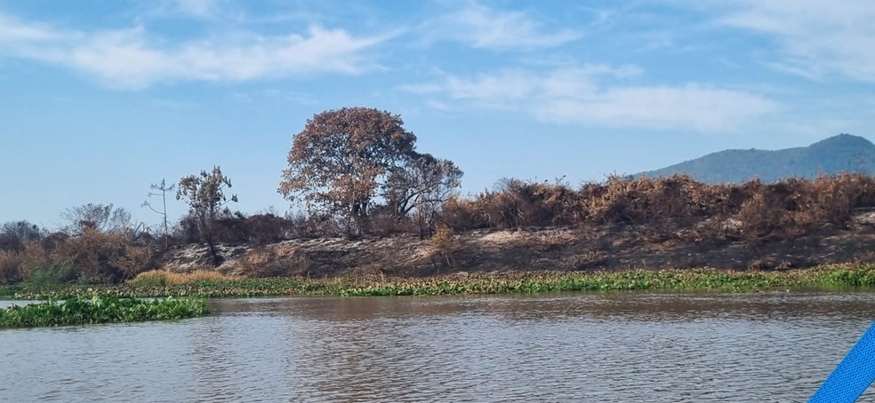 Área queimada na Serra do Amolar. — Foto: Lucas Lélis