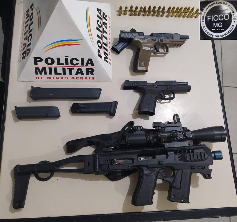 Armas apreendidas foram encontradas em uma mata — Foto: Ficco/Divulgação