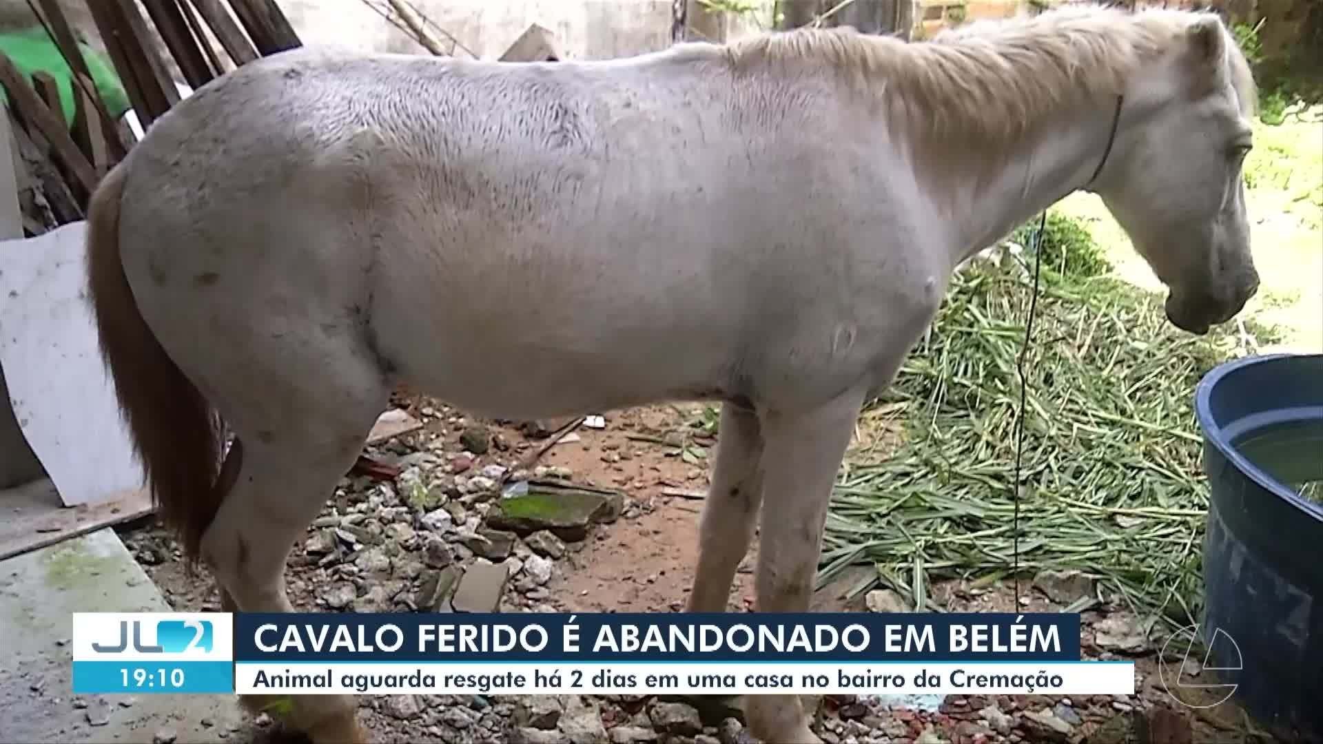 VÍDEOS: JL2 de terça-feira, 14 de julho de 2026