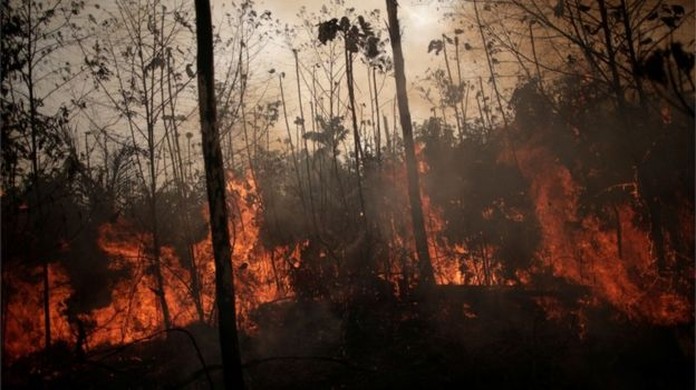 Pesquisadores do Cemaden publicam livro sobre risco de queimadas — Agência  Gov