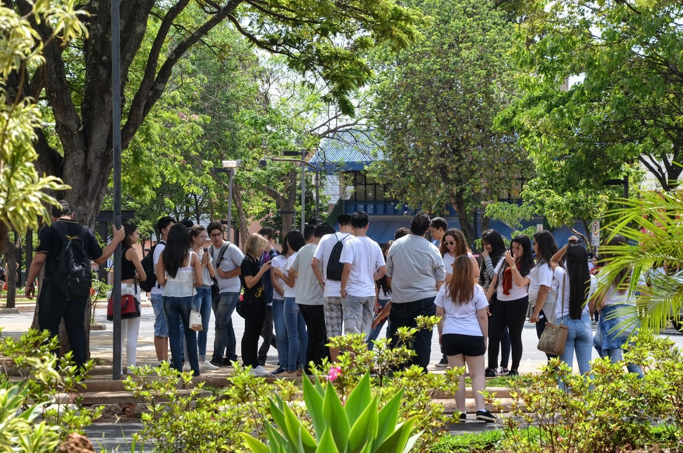 UFU tem 3.279 vagas para o Sisu em 2026, incluindo cursos de IA e Cibersegurança