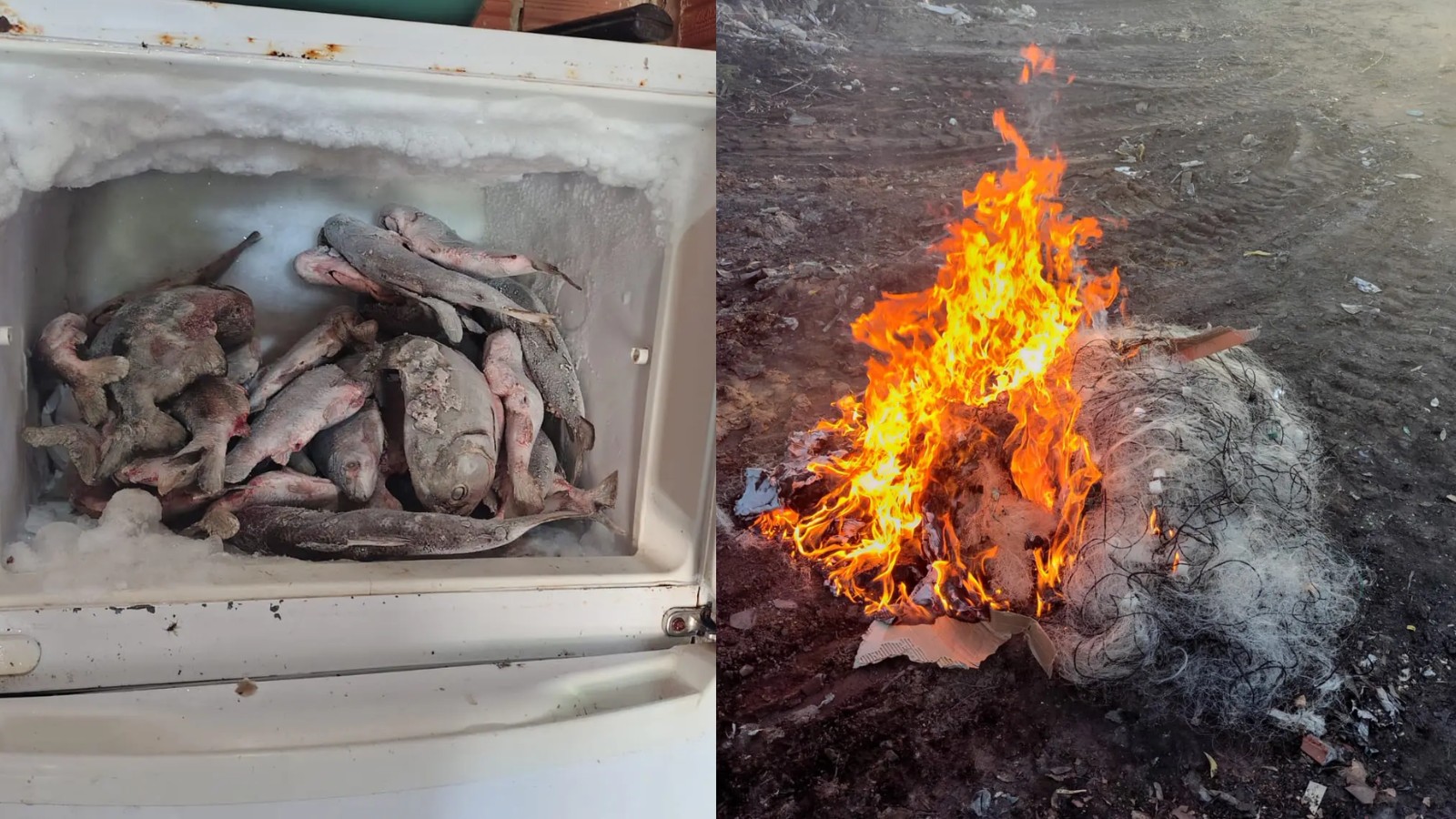 Homem é preso com 66 kg de peixe durante fiscalização da piracema no Sul do PI