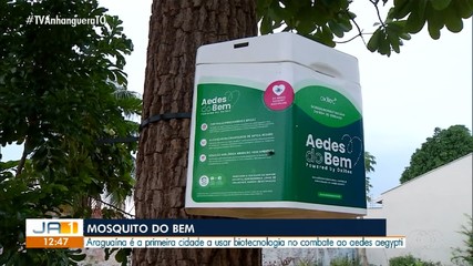 Araguaína usa biotecnologia para combater o Aedes Aegypti
