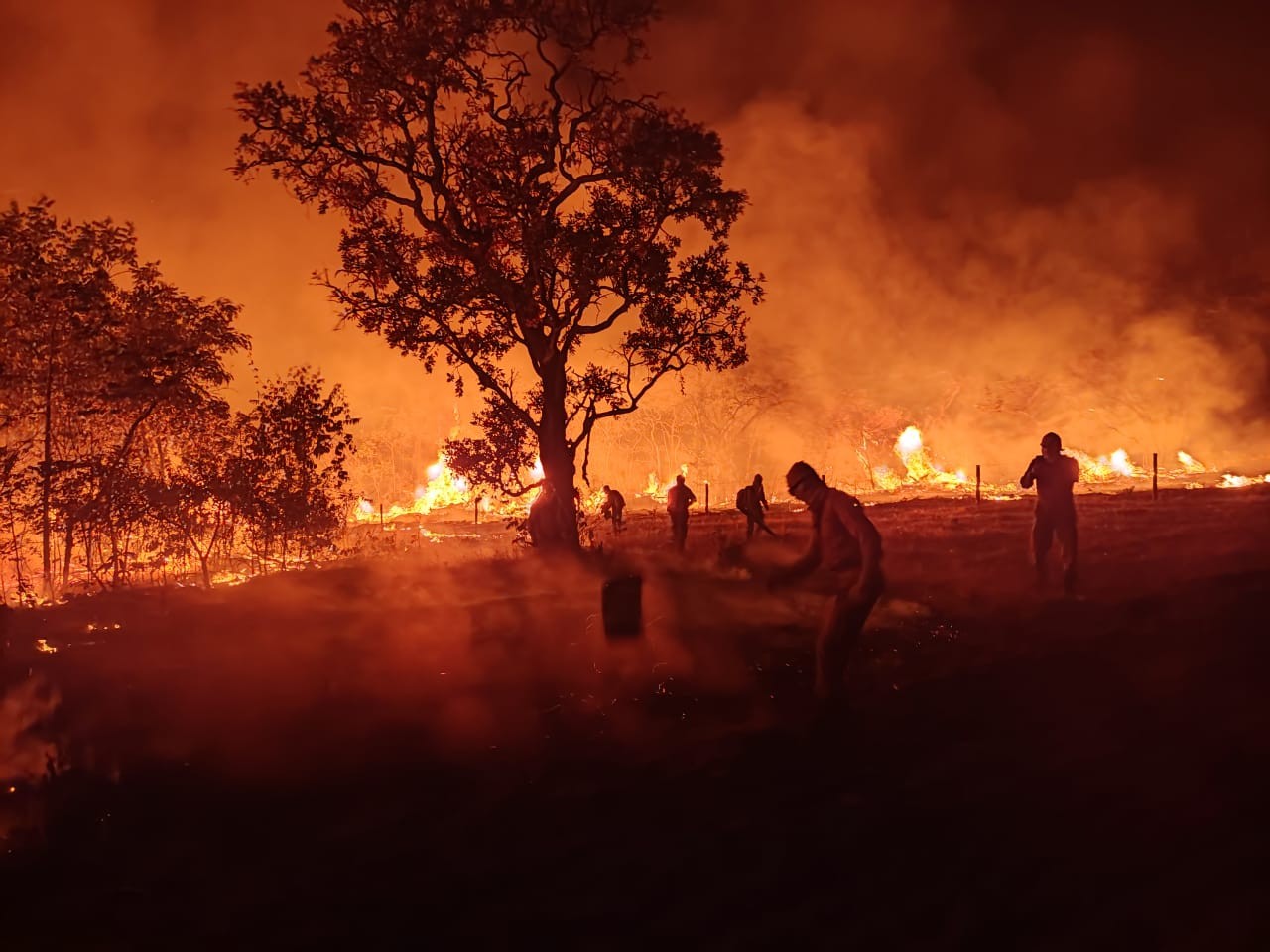 Incêndios atingem mais da metade dos municípios de MT, aponta Inpe