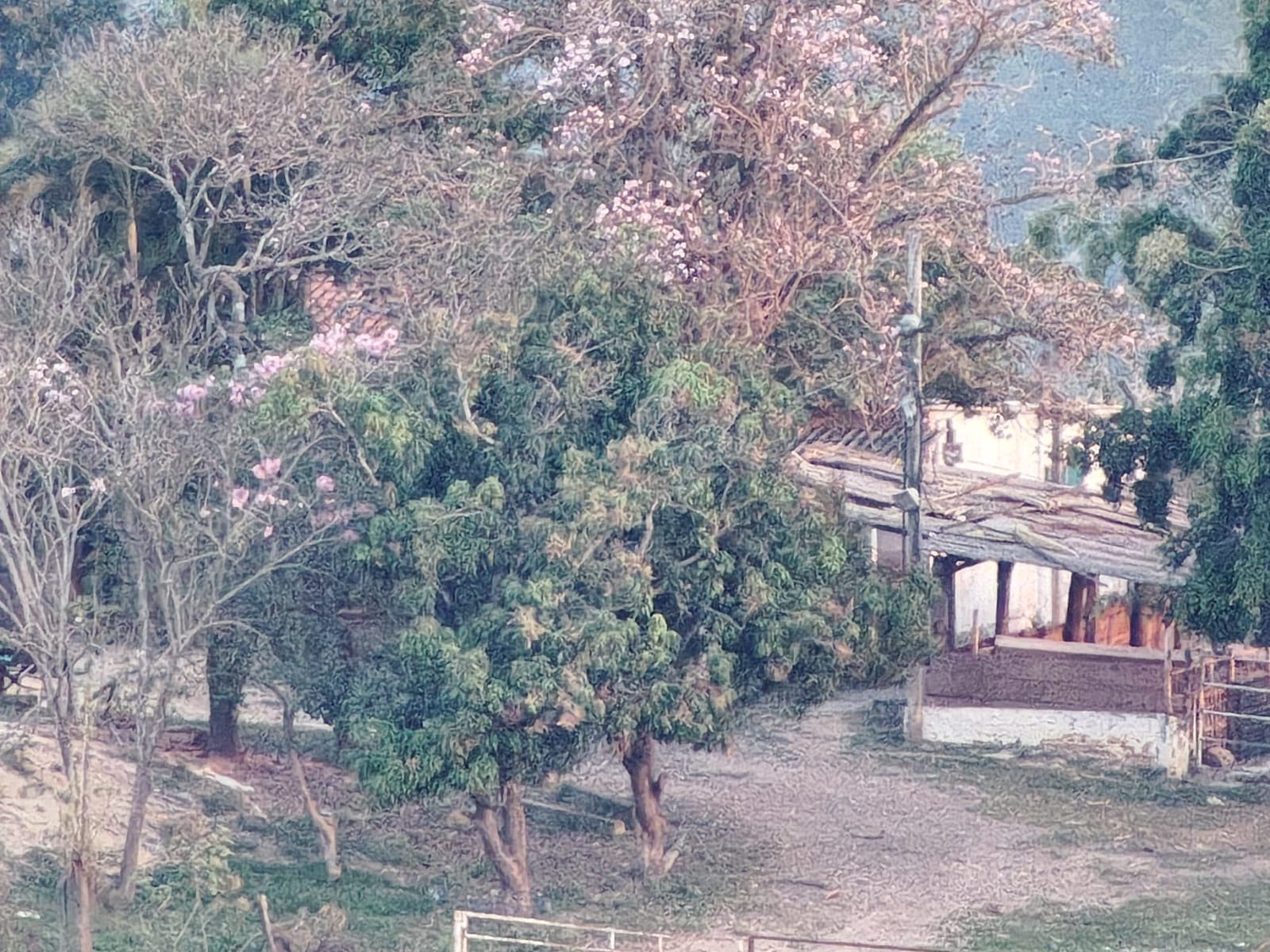 FOTOS: veja onde pai e filho foram encontrados após um ano foragidos por mortes de amigos que foram cobrar dívida no Paraná