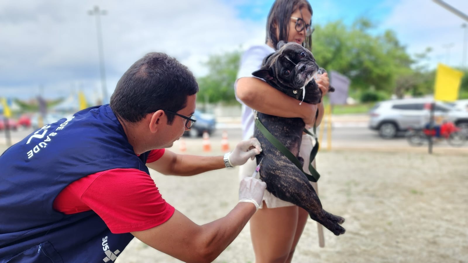 Vacinação contra raiva em Arapiraca: veja quando e onde vacinar cães e gatos 