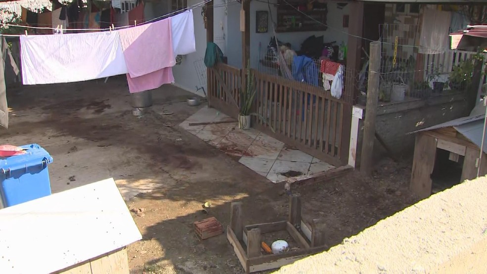 Pitbulls matam homem em Florianópolis — Foto: Marcos Schmitt/Reprodução NSC TV