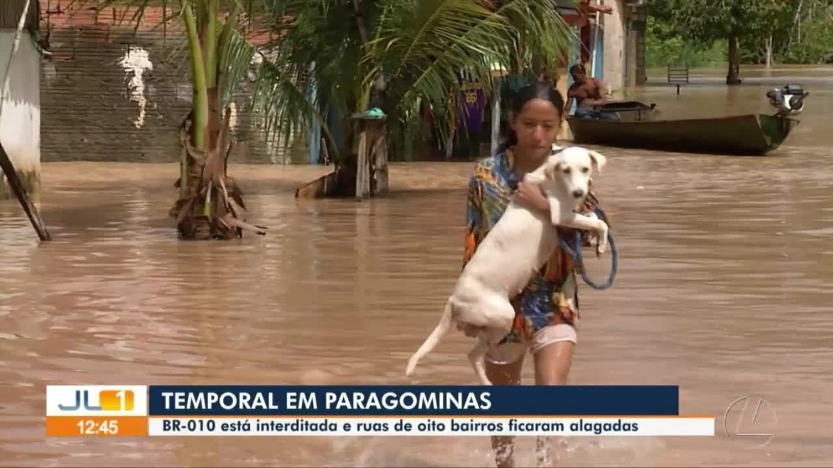 Temporal deixa desabrigados e destrói pontes em duas cidades do Pará