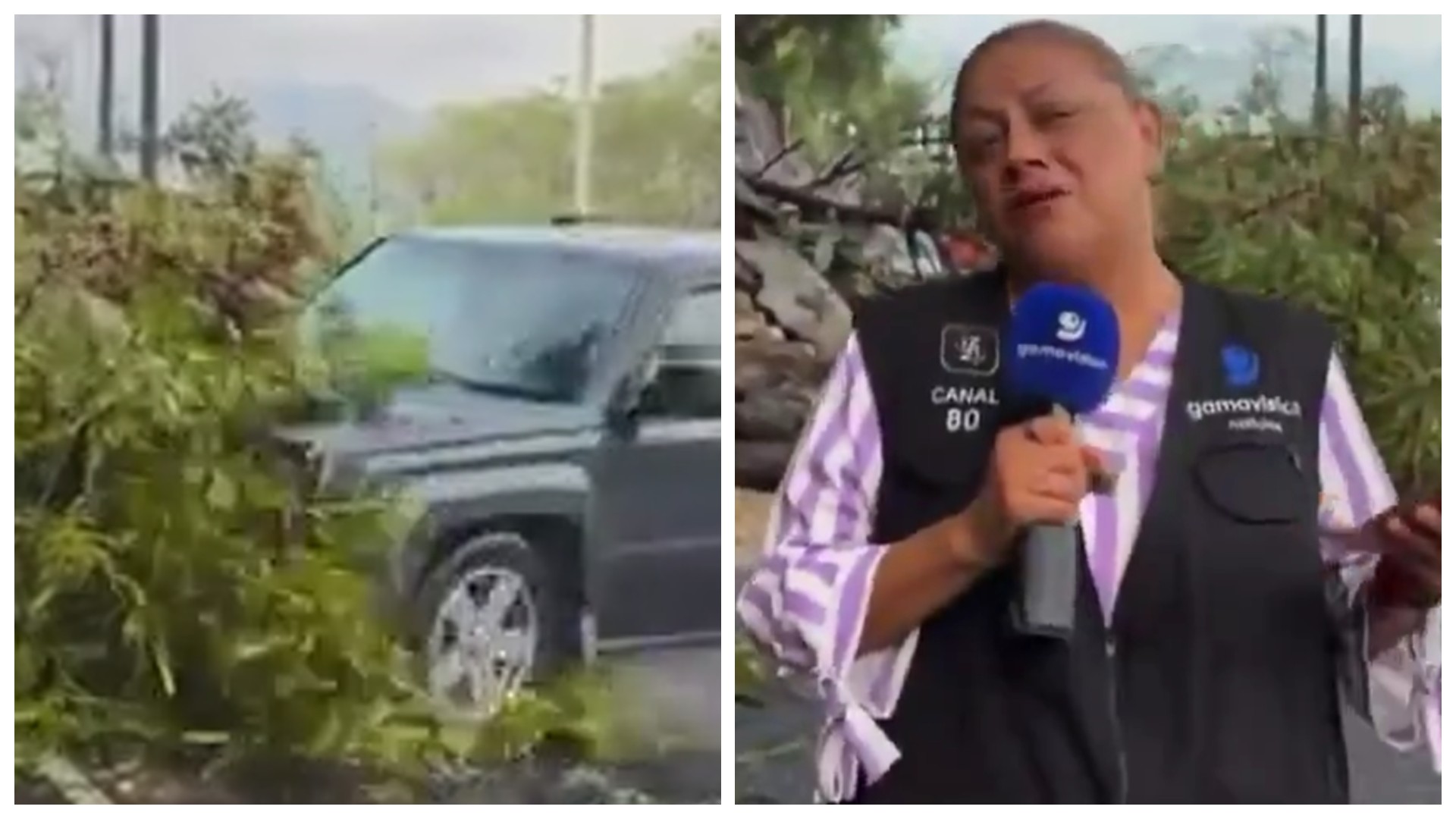 VÍDEO: Repórter e cinegrafista são atropelados durante entrada ao vivo no México