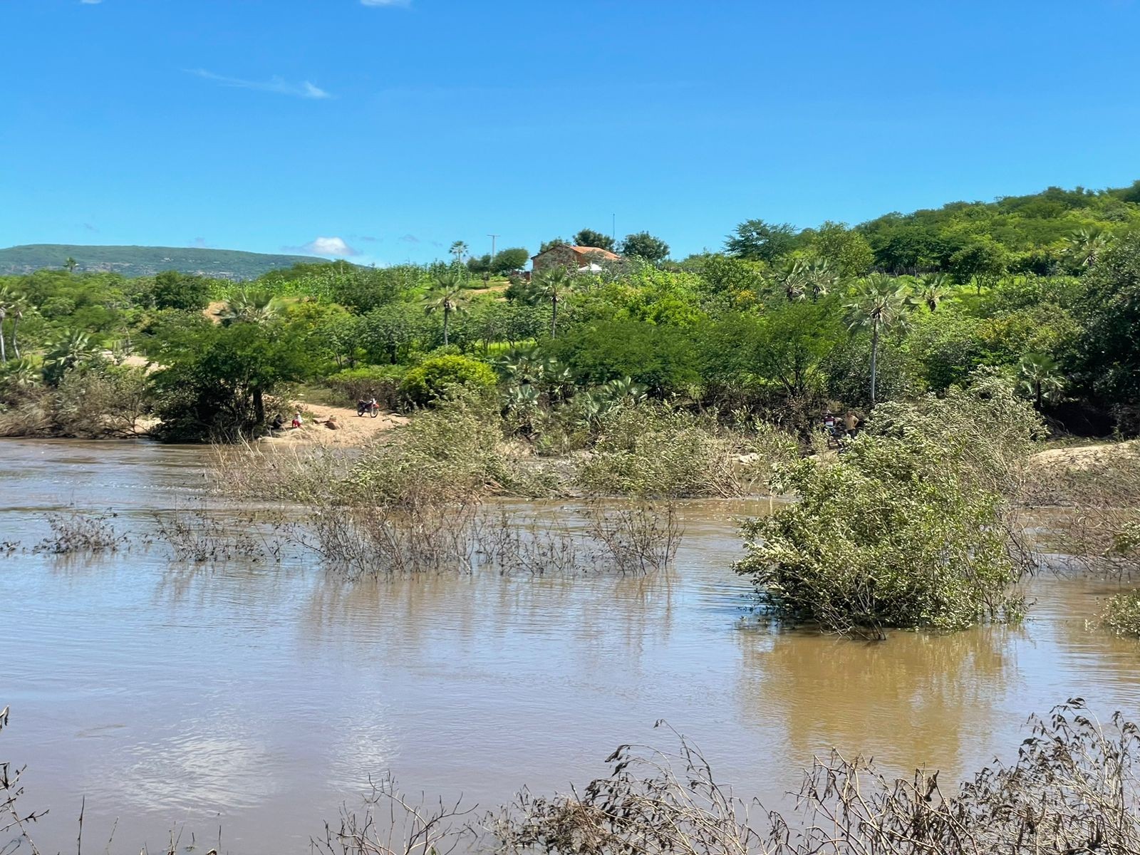 Corpo de jovem de 21 anos desaparecido no Rio Poti é encontrado após buscas no interior do Piauí