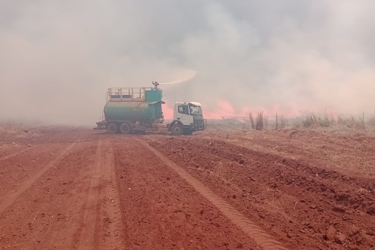 VÍDEO: Incêndio de grandes proporções em canavial encobre divisa de MS e GO com fumaça