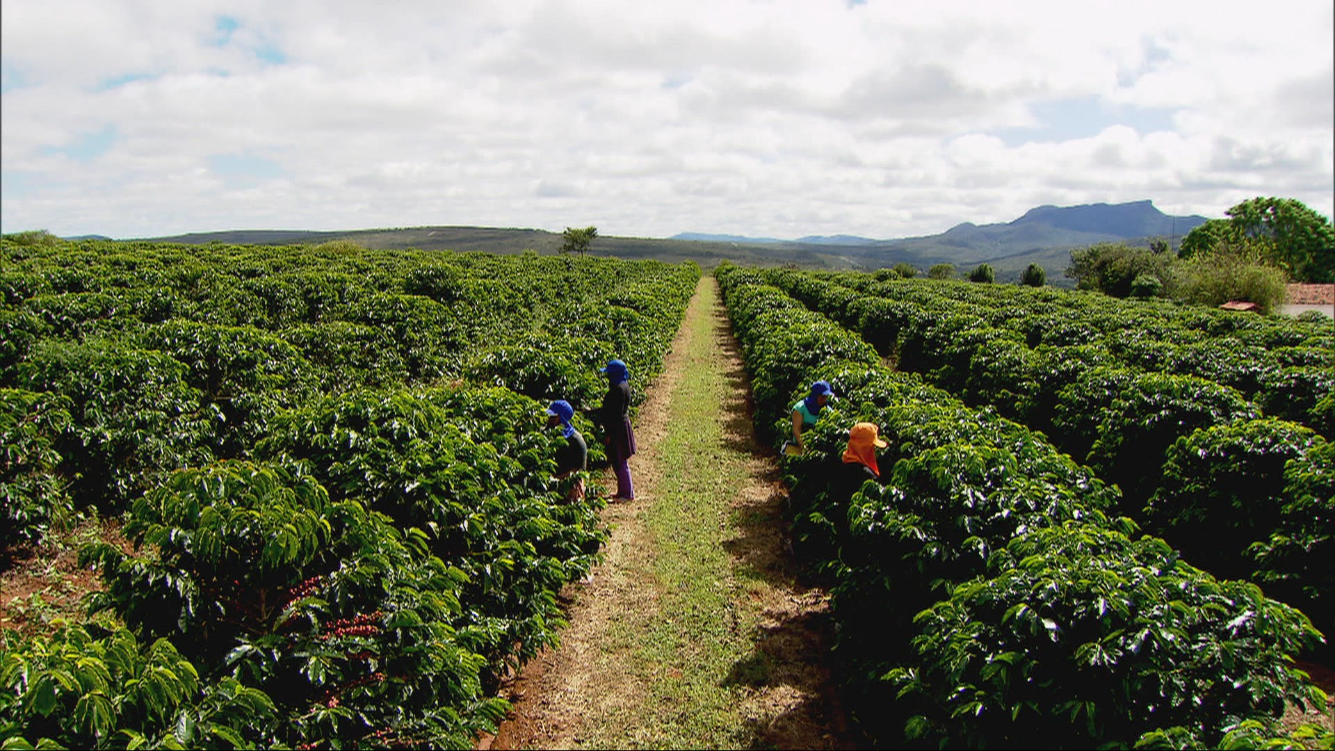 Exportações do agronegócio de MG batem recorde e somam US$ 18,1 bilhões em 2025