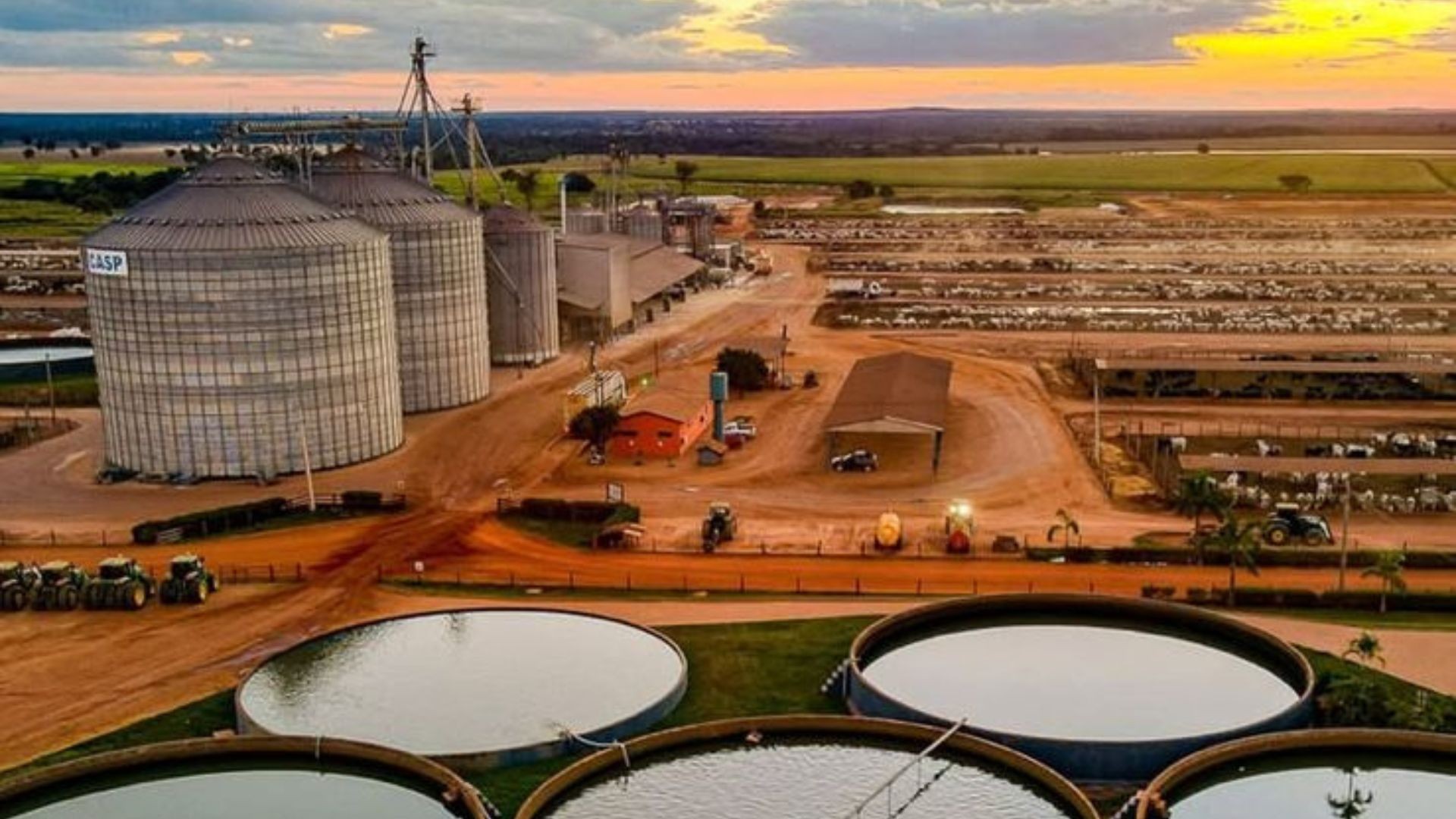 Fazenda onde mais de 20 aeronaves lotaram pista de pouso está entre os maiores confinamentos do Brasil e tem prêmios de agropecuária sustentável