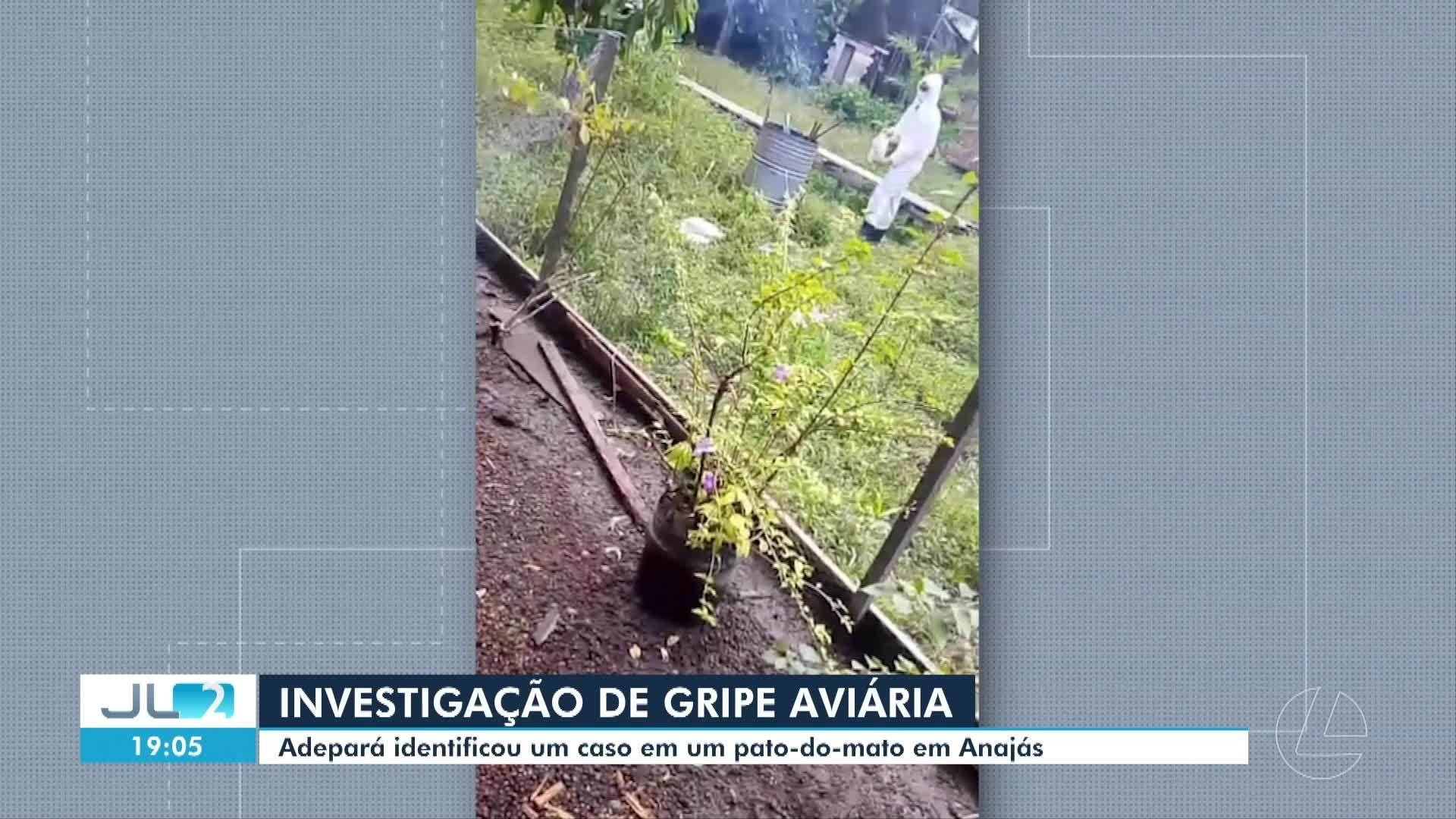 VÍDEOS: JL2 de quarta-feira, 13 de maio de 2026