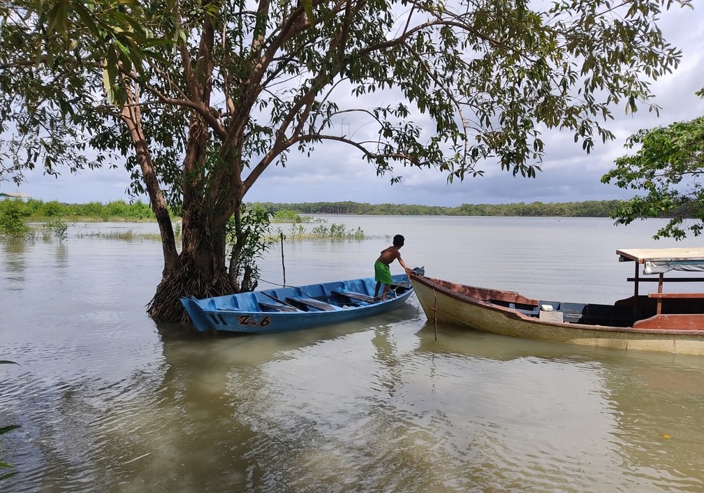 Pesca e coleta é modo de vida dentro da Resex Mestre Lucindo, no Pará. — Foto: GPSA-Amazônias, 2021
