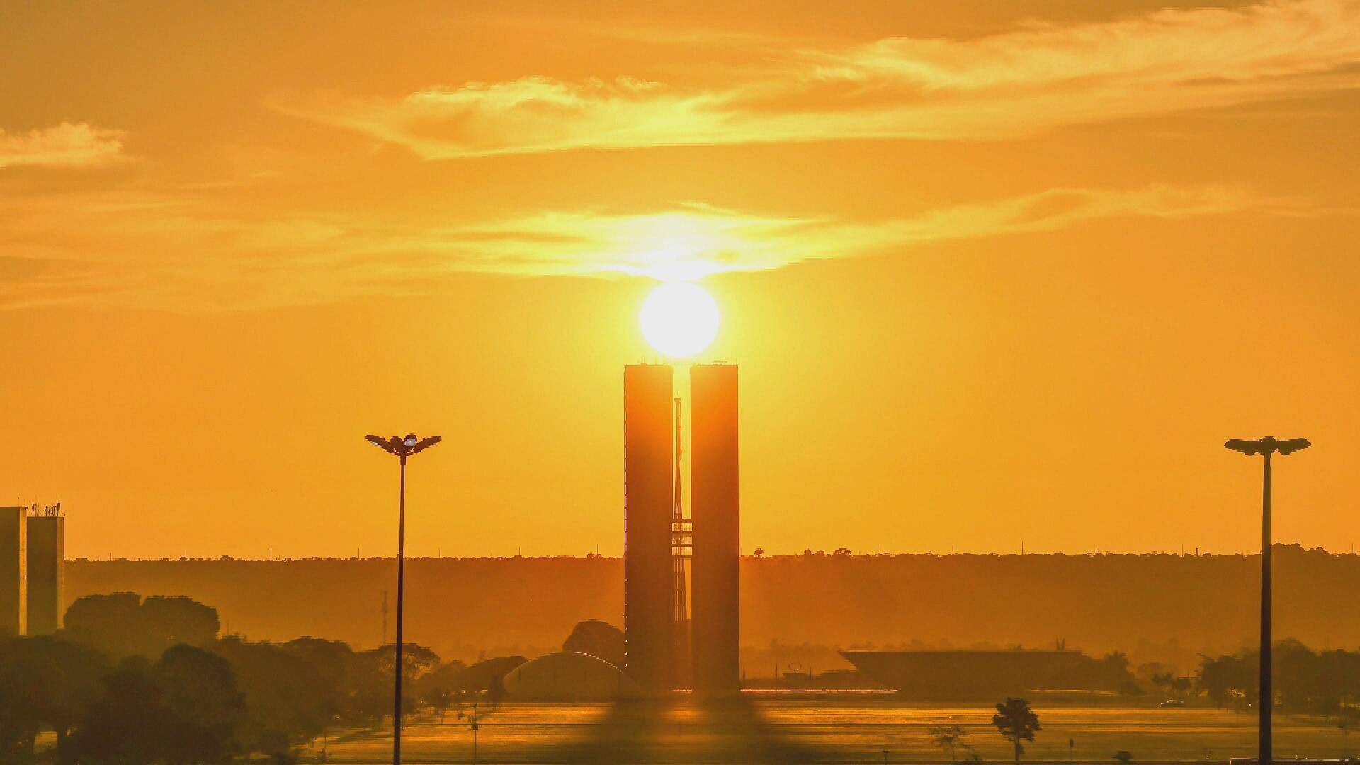 Censo: Brasil tem 879 pessoas chamadas 'Brasília', mas nenhuma no DF; pico foi nos anos 1950