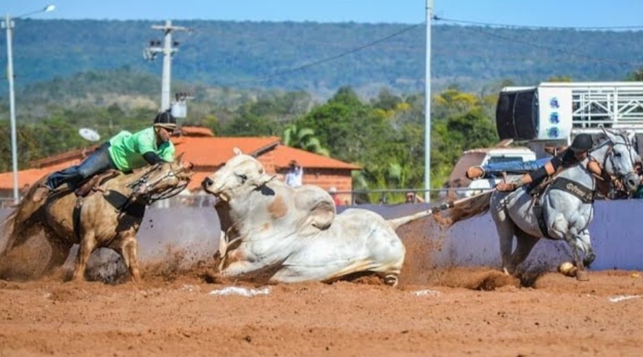 MP-MA recomenda medidas contra maus-tratos a animais durante a 29ª Vaquejada de Amarante do Maranhão