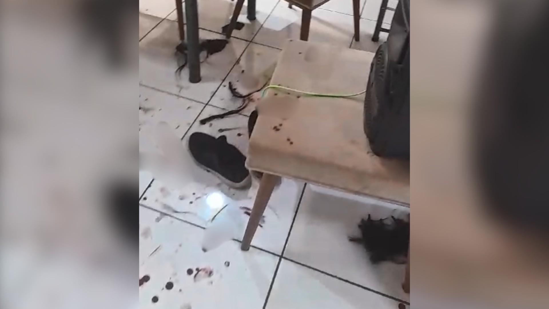 Mulher é agredida e tem cabelo cortado após ex invadir a casa dela pelo telhado; atual namorado foi esfaqueado
