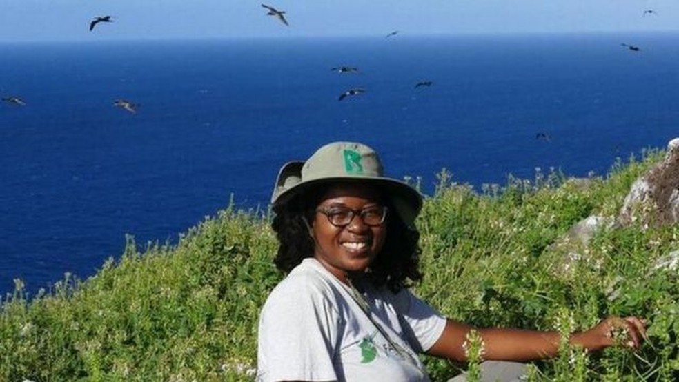 Agora verdejante, a ilha Redonda volta a atrair bandos de aves marinhas. — Foto: BBC