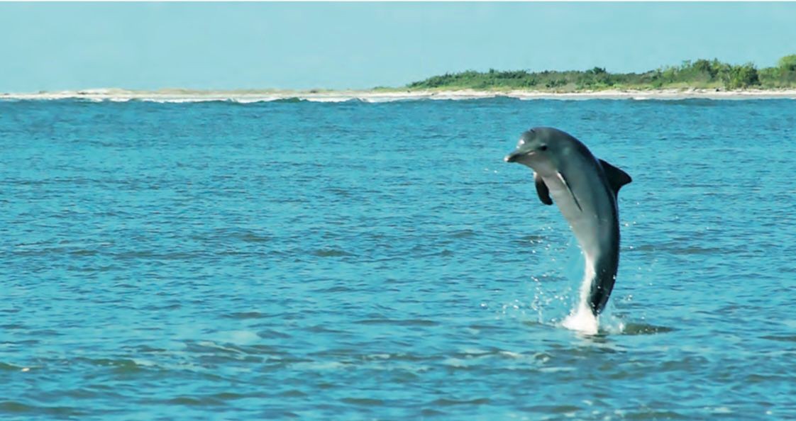 Você Não Tá Convidada pro Meu Bat Mitzvá!