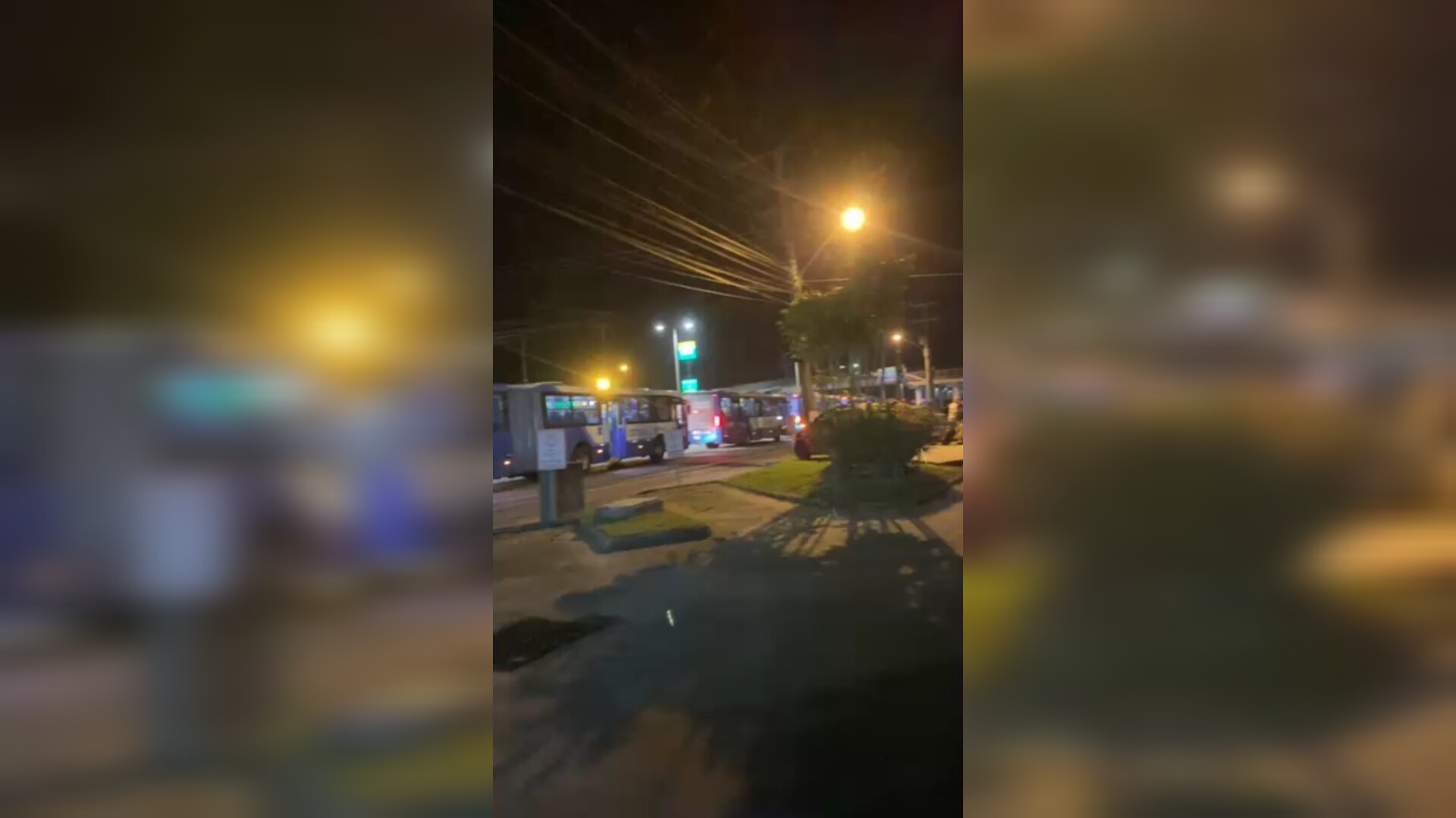 Criança de 5 anos morre atropelada por ônibus em faixa de pedestre em Florianópolis