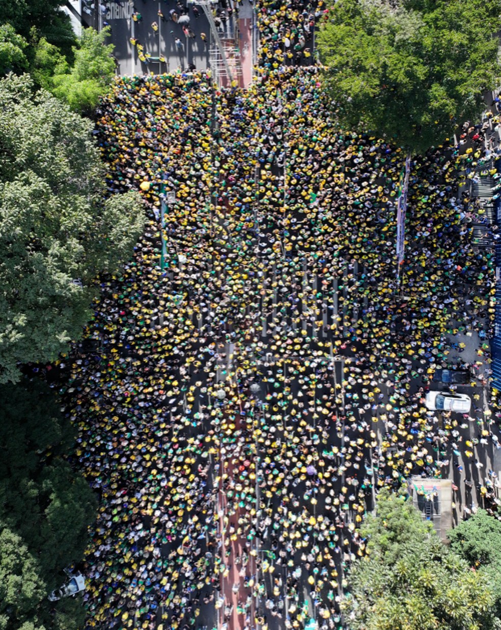 Foto usada na contagem de pessoas no convocado por Jair Bolsonaro na Avenida Paulista neste domingo (29) — Foto: Reprodução/Monitor do Debate Político no Meio Digital & More in Common