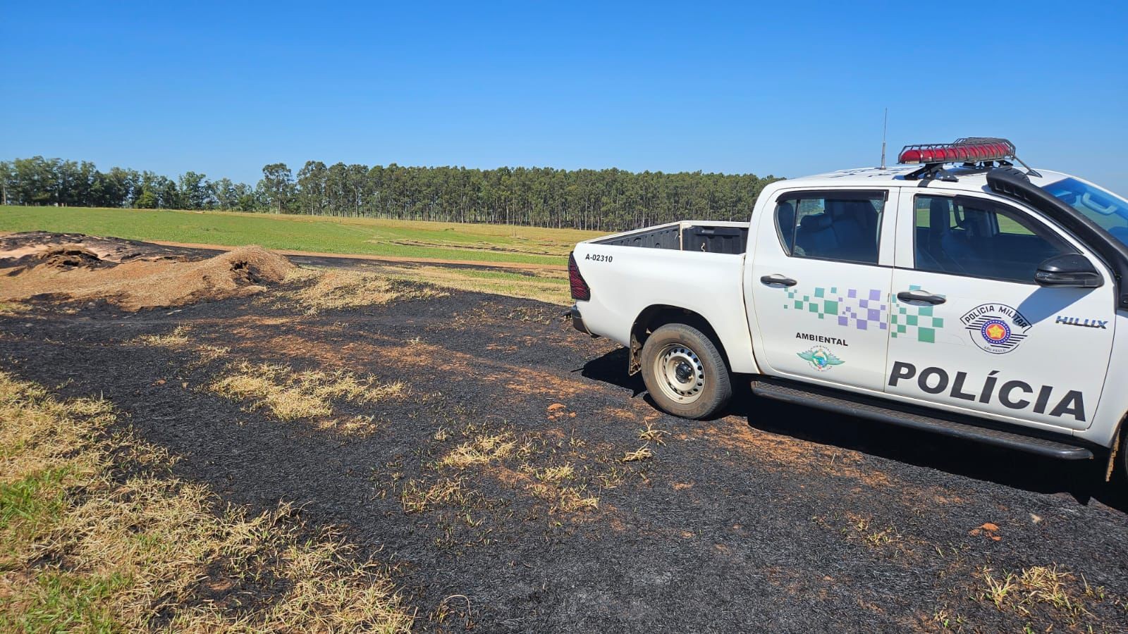 Proprietário rural é multado em quase R$ 70 mil após atear fogo em vegetação, em Piquerobi