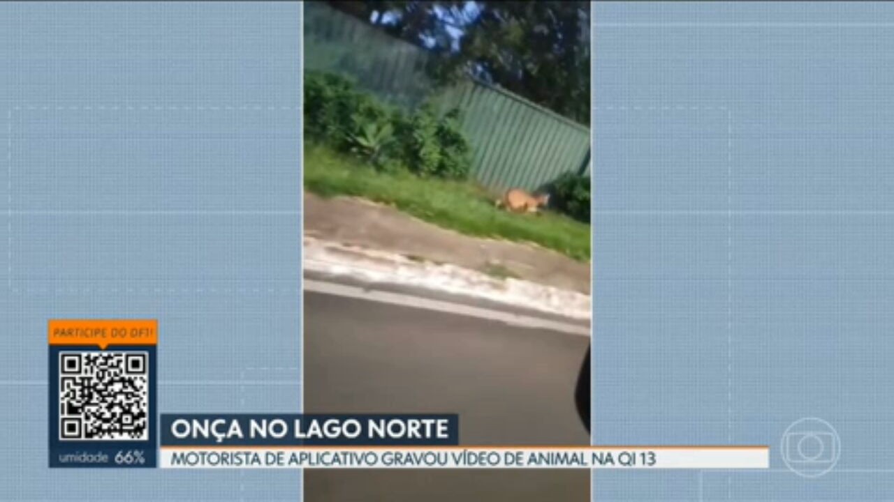 VÍDEOS: DF1 de segunda-feira, 6 de abril de 2026