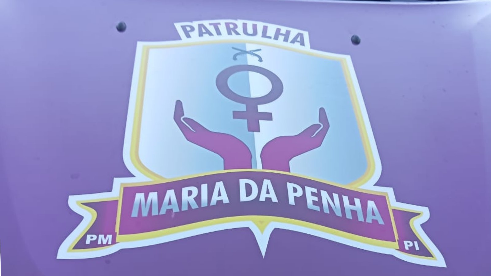 Mulher é gravemente ferida na cabeça após ser espancada por companheiro, no Sul do PI
