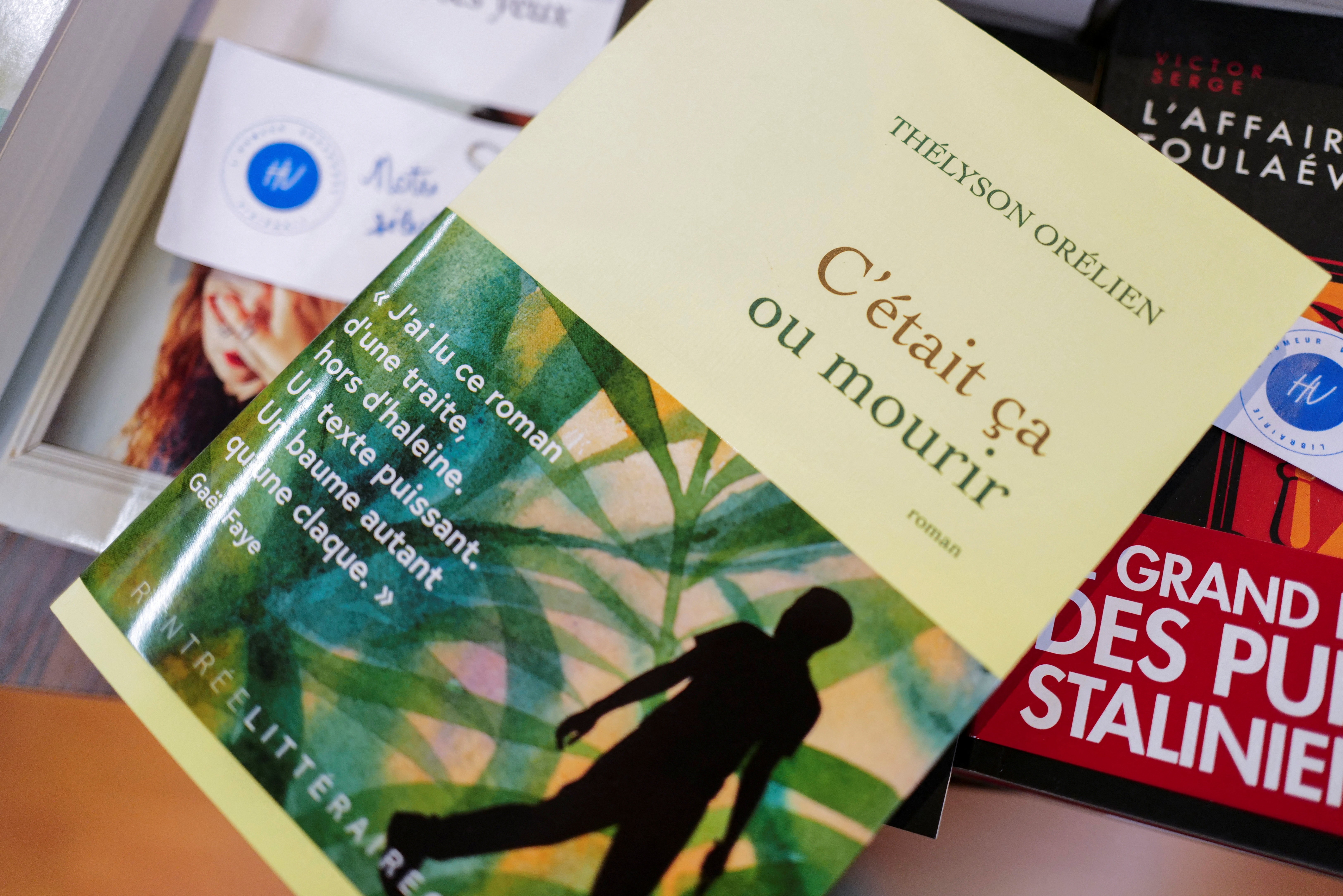 Prêmio Goncourt Retira Livro de Competição por Suspeita de IA