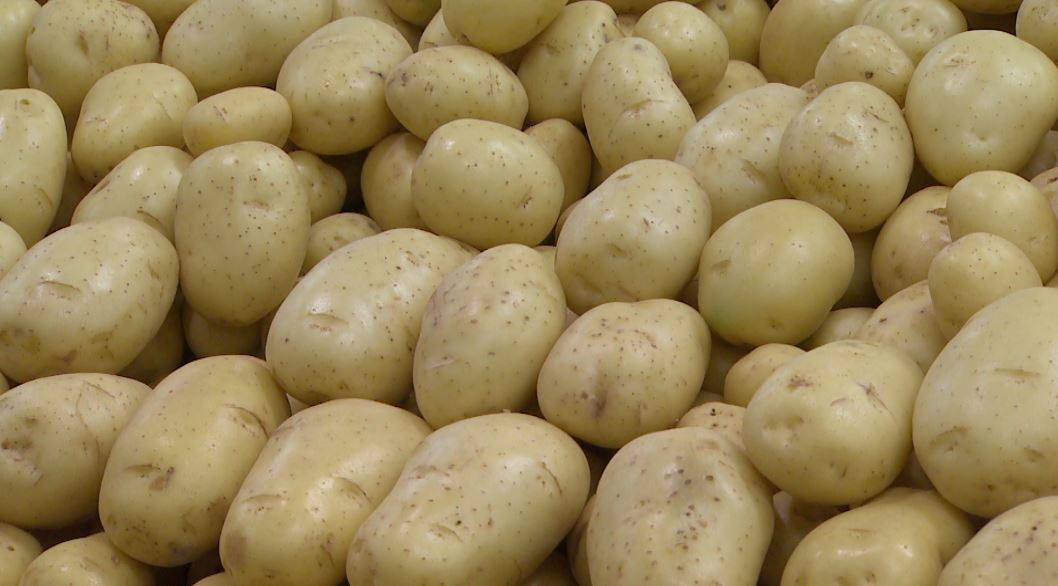 Batata sobe 56% e puxa alta no preço da cesta básica no mês de abril, em Campinas